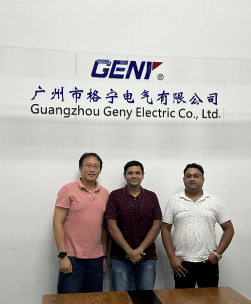 Neueste Unternehmensnachrichten über GENY Electric Co., Ltd. hat einen indischen Kunden für die Annahme und Ausbildung von Kalibriergeräten für Stromzähler aufgenommen.